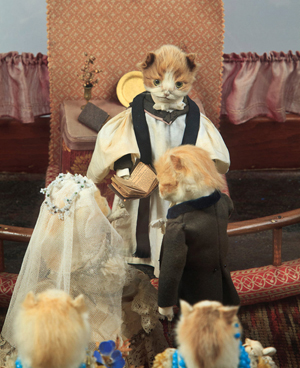 cat Wedding